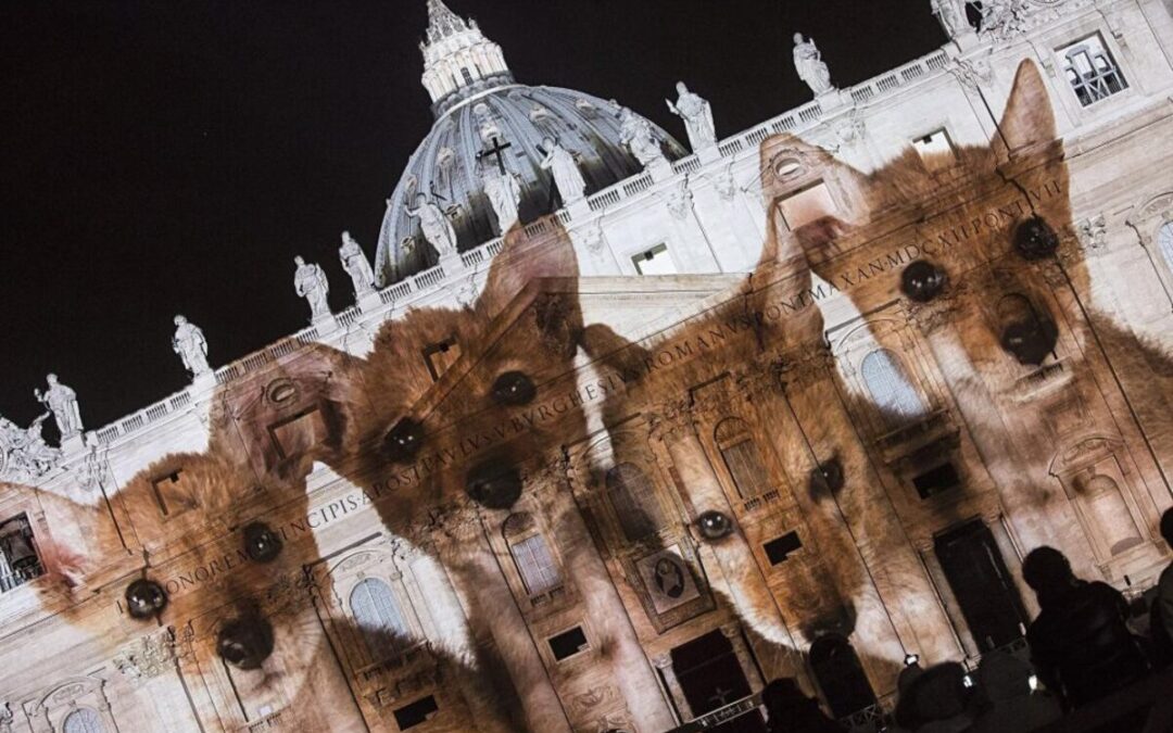 “Raising Hope for Climate Justice”: La Iglesia se une para cuidar la Casa Común